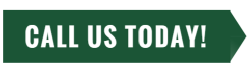 A green, horizontal button shaped like a right-pointing arrow with the white text 