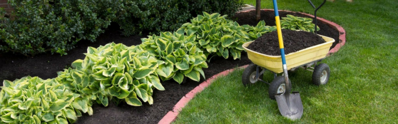 A yellow garden cart filled with soil sits next to lush green host of plants in a mulched bed bordered by red bricks.
