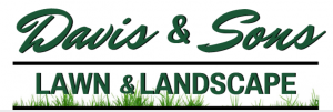 Logo for Davis & Sons Lawn & Landscape featuring dark green text with a blade-of-grass border at the bottom.