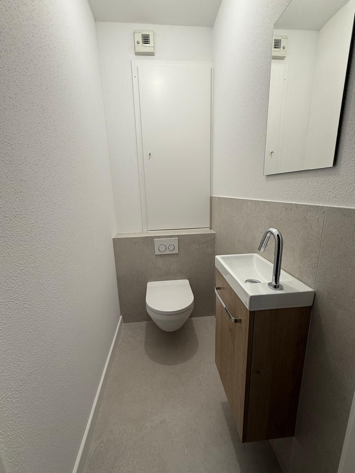Petite salle de bain moderne : murs blancs, sol gris clair, toilettes flottantes, petite vanité et miroir.