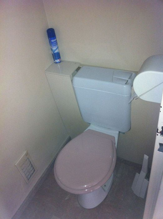 Des toilettes dans une salle de bain à côté d'un vaporisateur