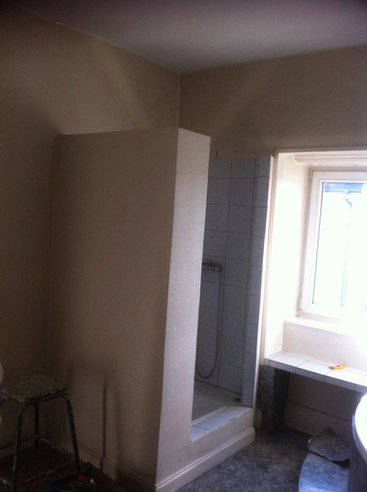 Une salle de bain avec douche et fenêtre