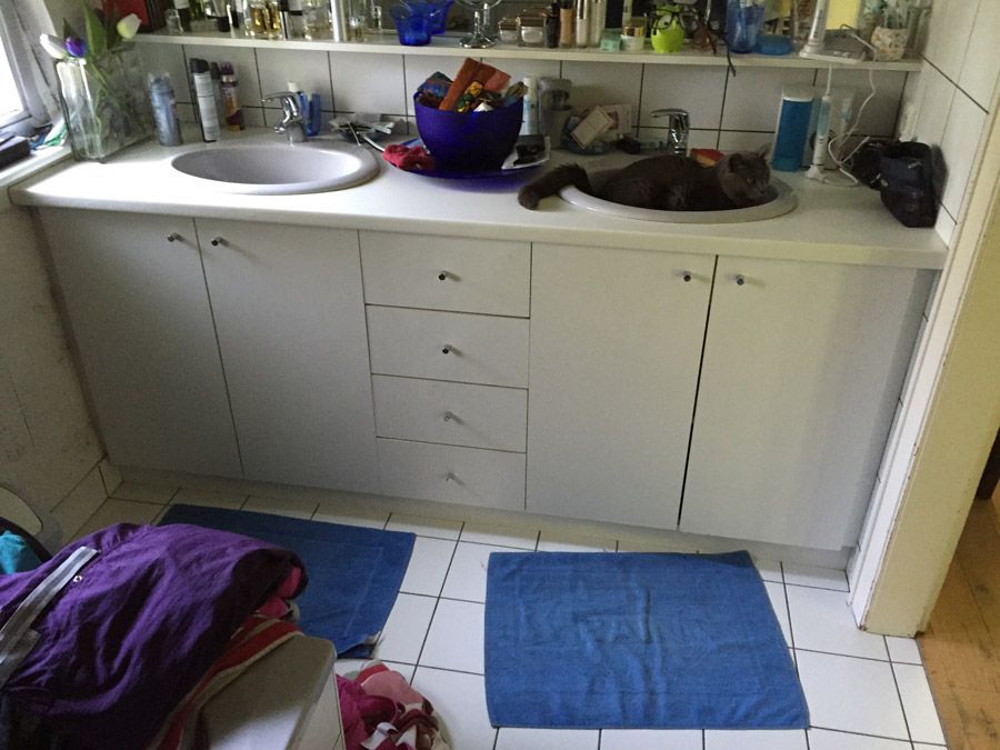 Un chat est allongé dans un lavabo dans une salle de bain