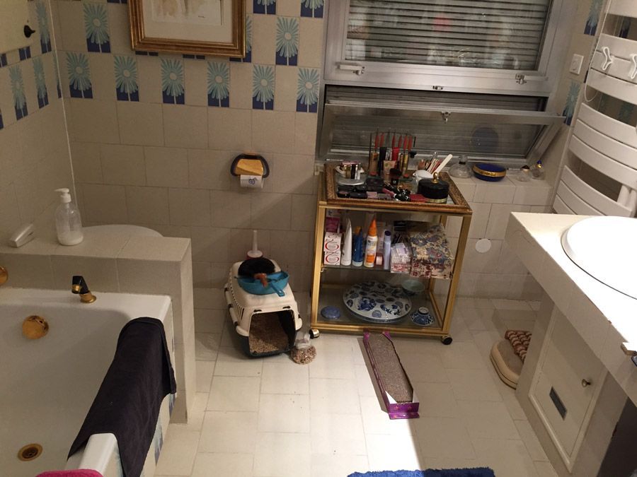 Une salle de bain avec une baignoire, un lavabo et une fenêtre