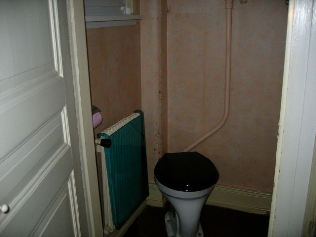 Une salle de bain avec des toilettes noires et un radiateur vert