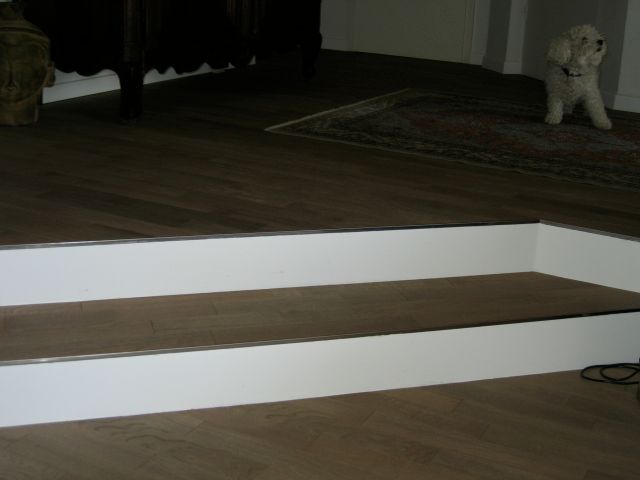 Un petit chien blanc debout sur un escalier