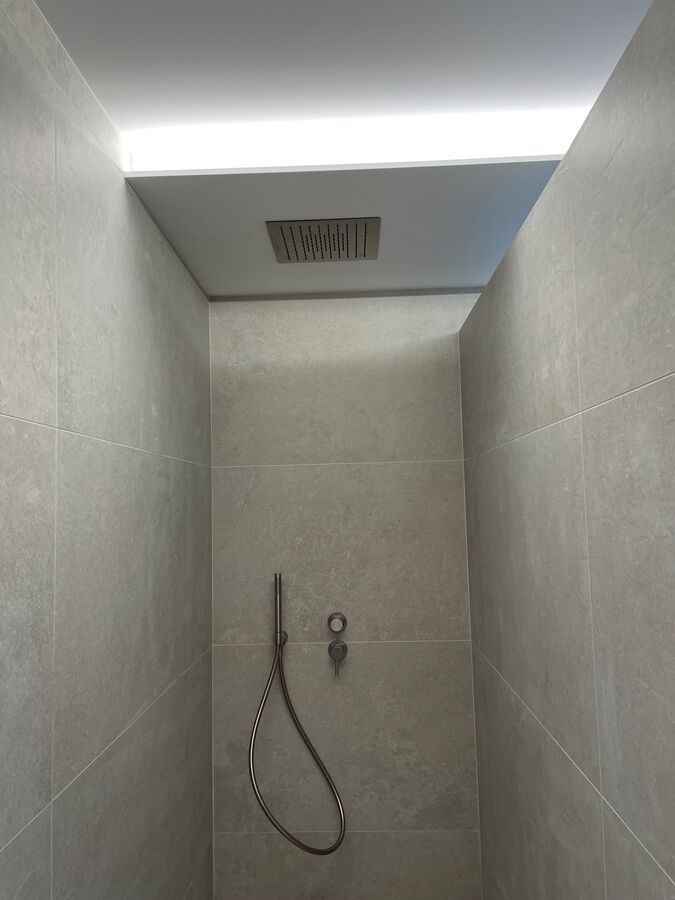 Une salle de bain avec une pomme de douche et un plafonnier.