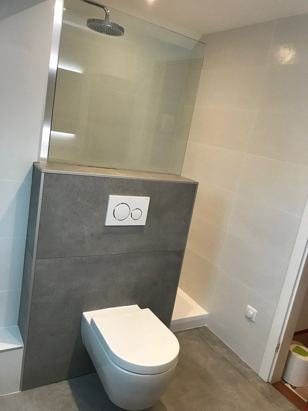 Une salle de bain avec WC, douche et miroir.