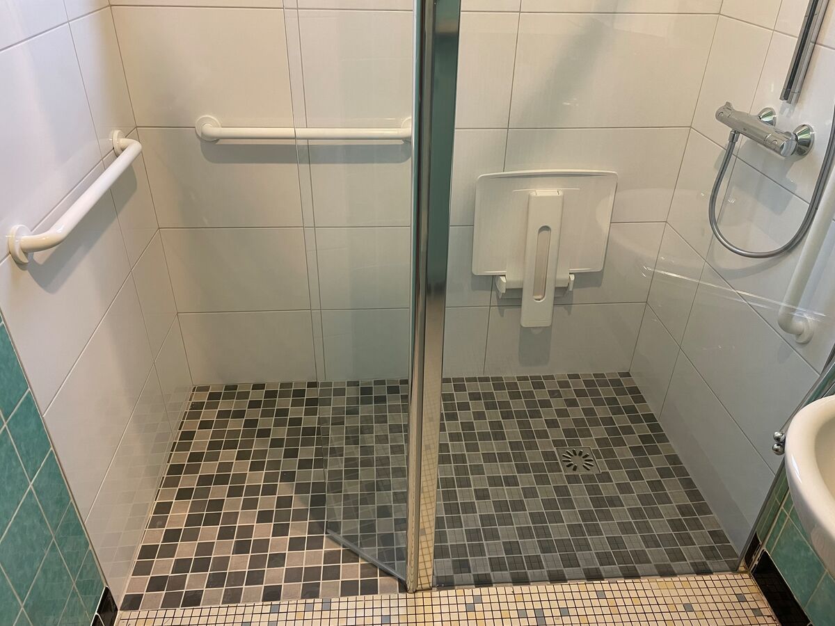 Une salle de bain avec douche à l'italienne et WC.