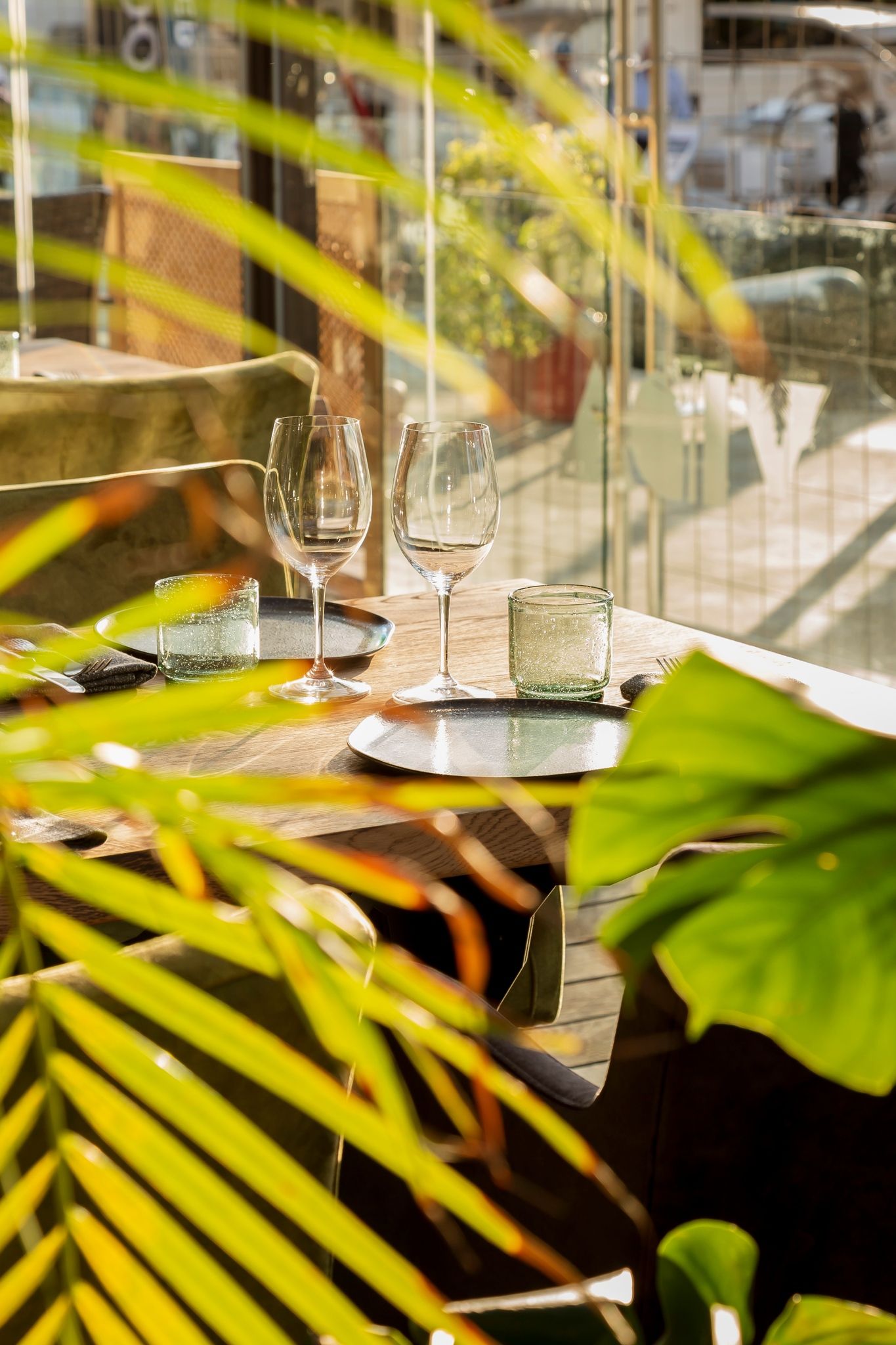 A table with plates , glasses and a palm tree in the foreground