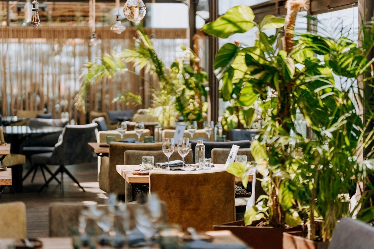A restaurant with tables and chairs and lots of plants