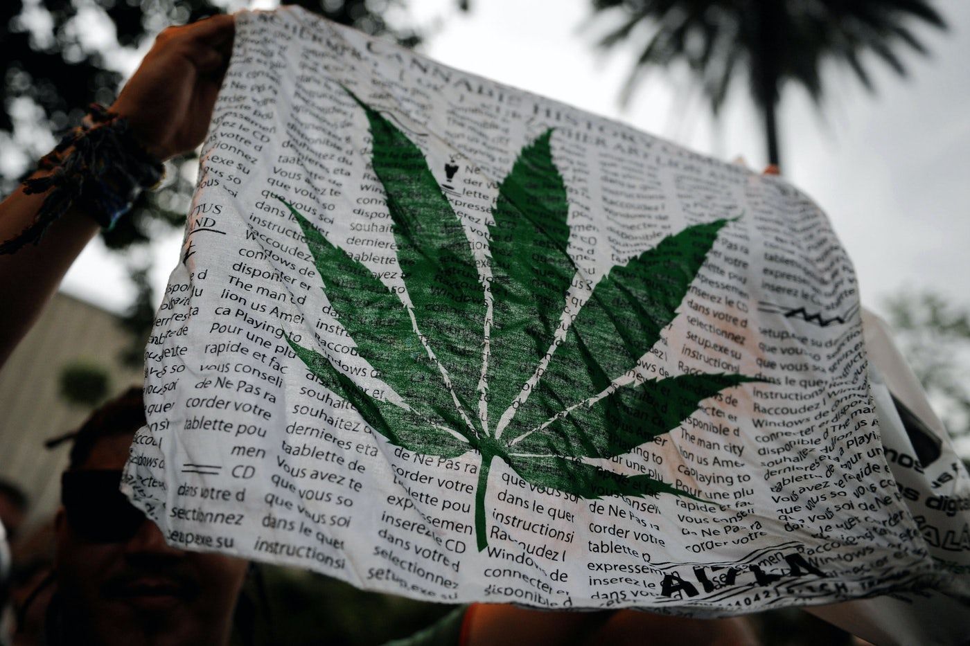 Flag Held with Cannabis Leaf During Legal Cannabis Protest