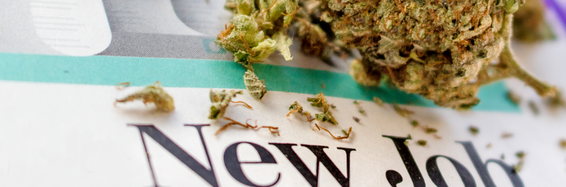 Online Cannabis School
