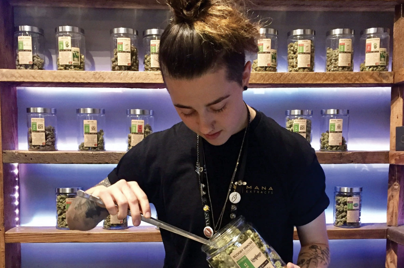 A female budtender grabs cannabis product out of a jar