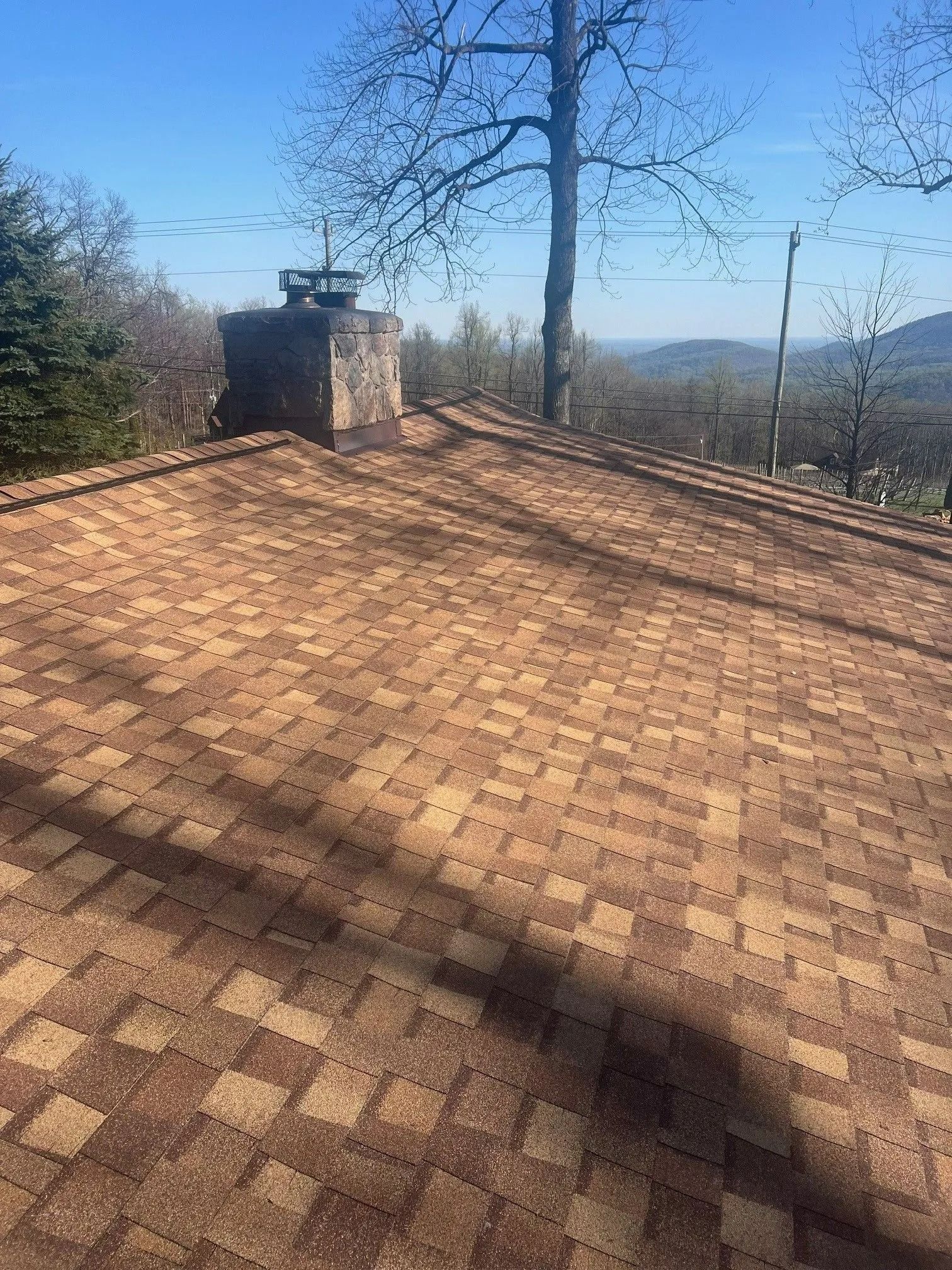 View of a brown shingle roof with a brick chimney and a tree in the background on a sunny day.