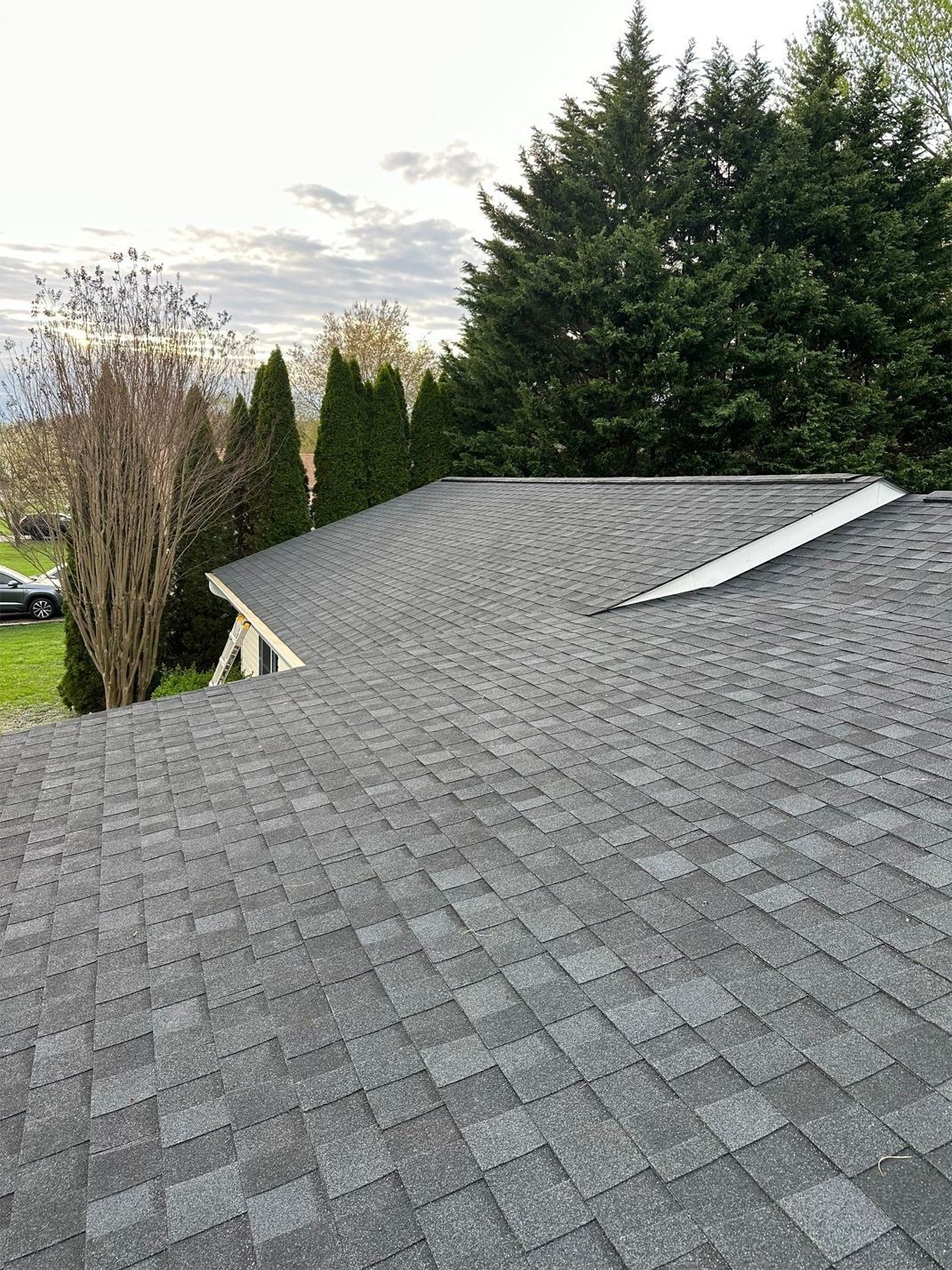 Gray asphalt shingle roof with trees in the background under a cloudy sky.