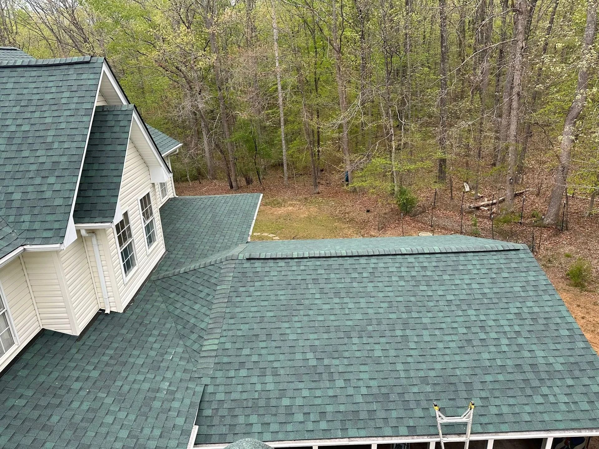 Green shingled roof of a house with a ladder, trees in the background.