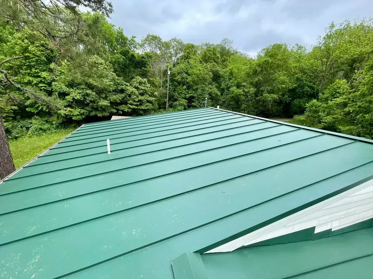 Green metal roof with a backdrop of lush green trees.