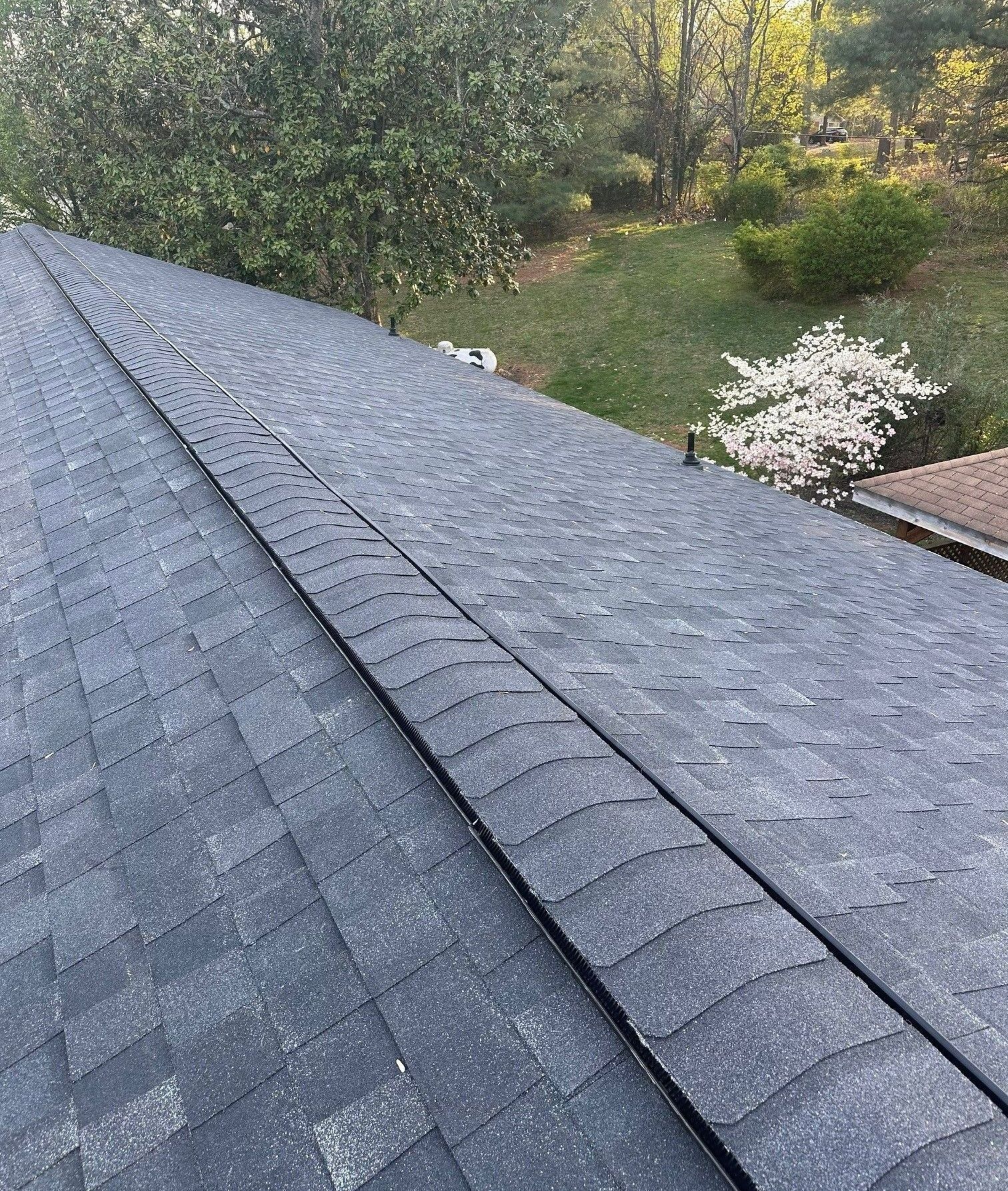 Dark gray shingle roof, ridge cap, and background of trees and lawn.