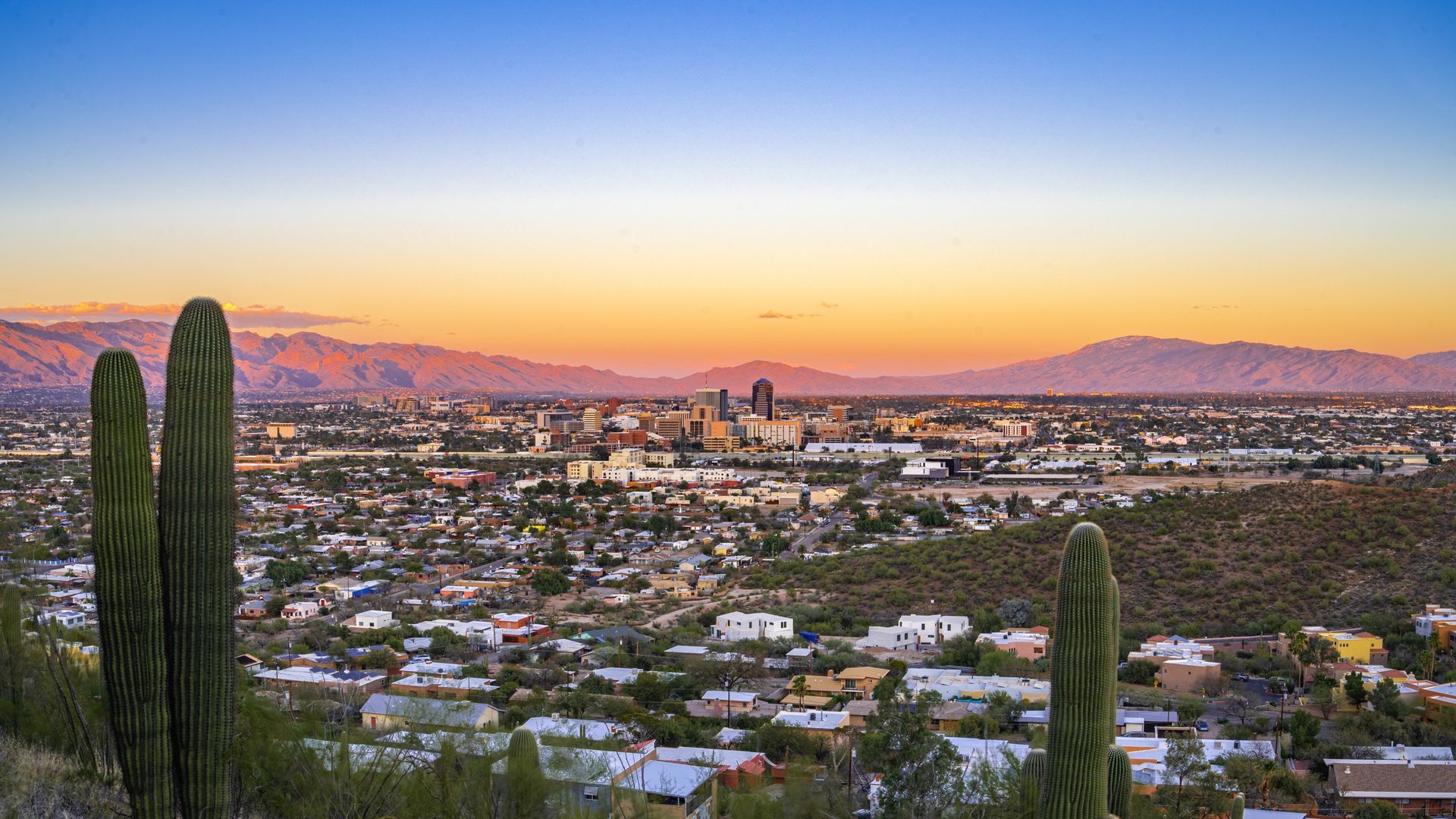 An aerial view of a city at sunset with a cactus in the foreground.