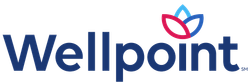 A blue cross blue shield logo with a cross and shield