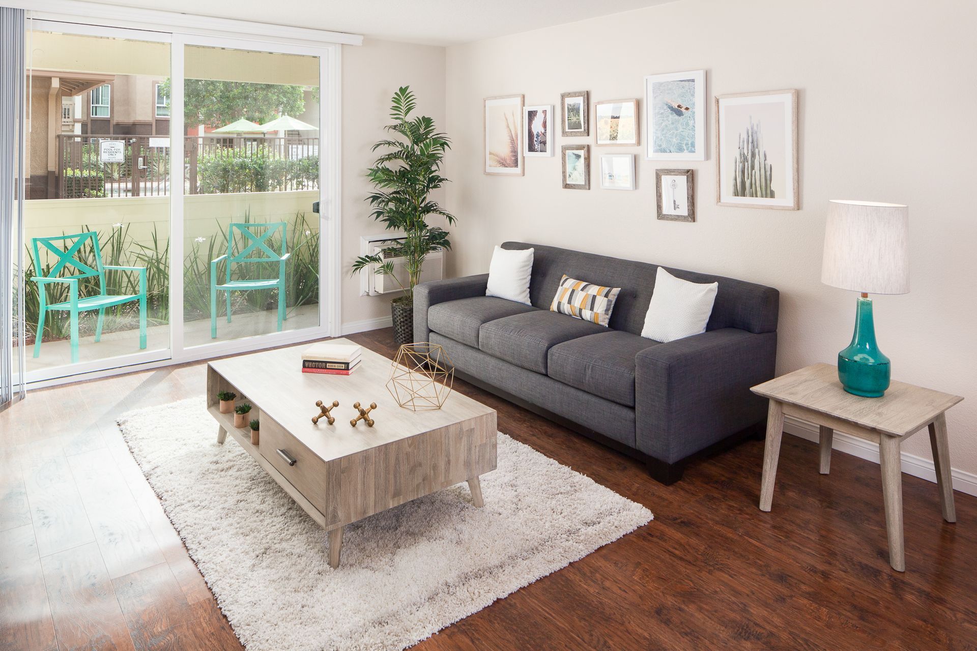 Serena Vista Apartment homes sliding apartment amenities photo gallery