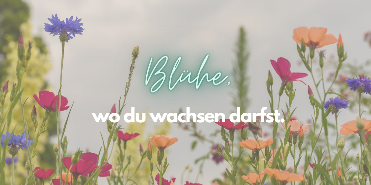 Blühe da, wo du wachsen darfst.