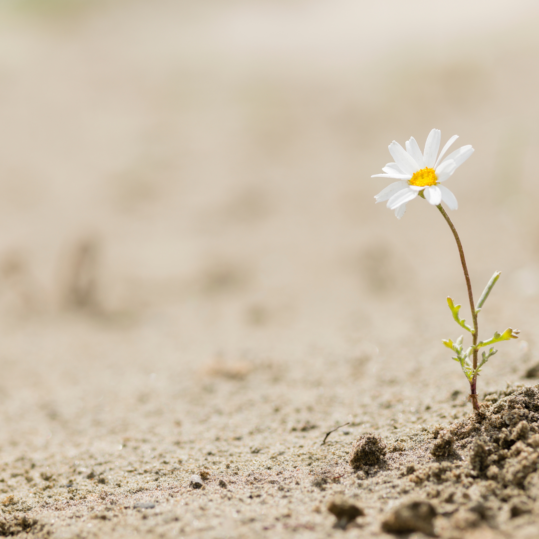 Resilienz stärken