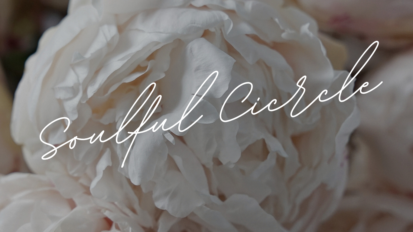 Ava Modesta Coaching