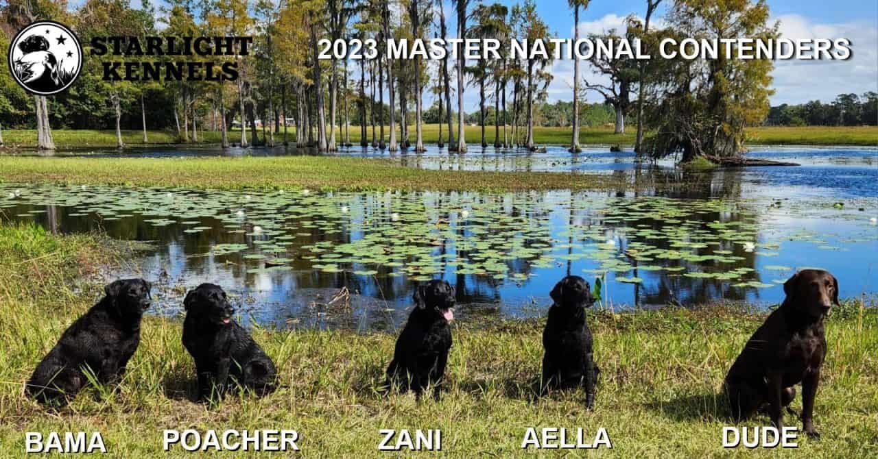 2023 Master National Contenders