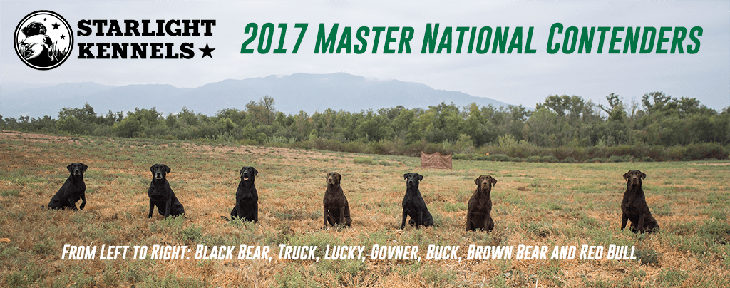 2017 Master National Contenders