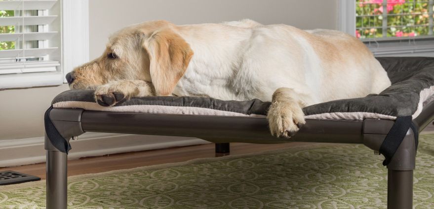 Kuranda Dog Bed