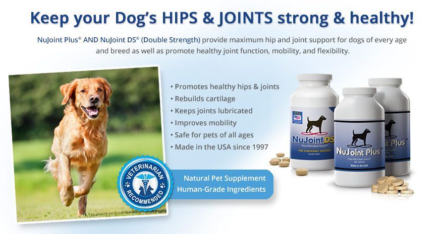 Keep your dog's hips & joints strong & healthy