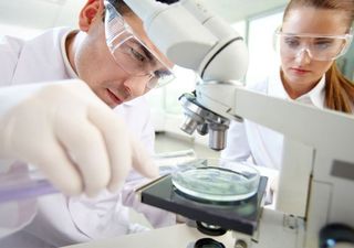 Lab Experts - Mold Testing in Harrisburg, PA