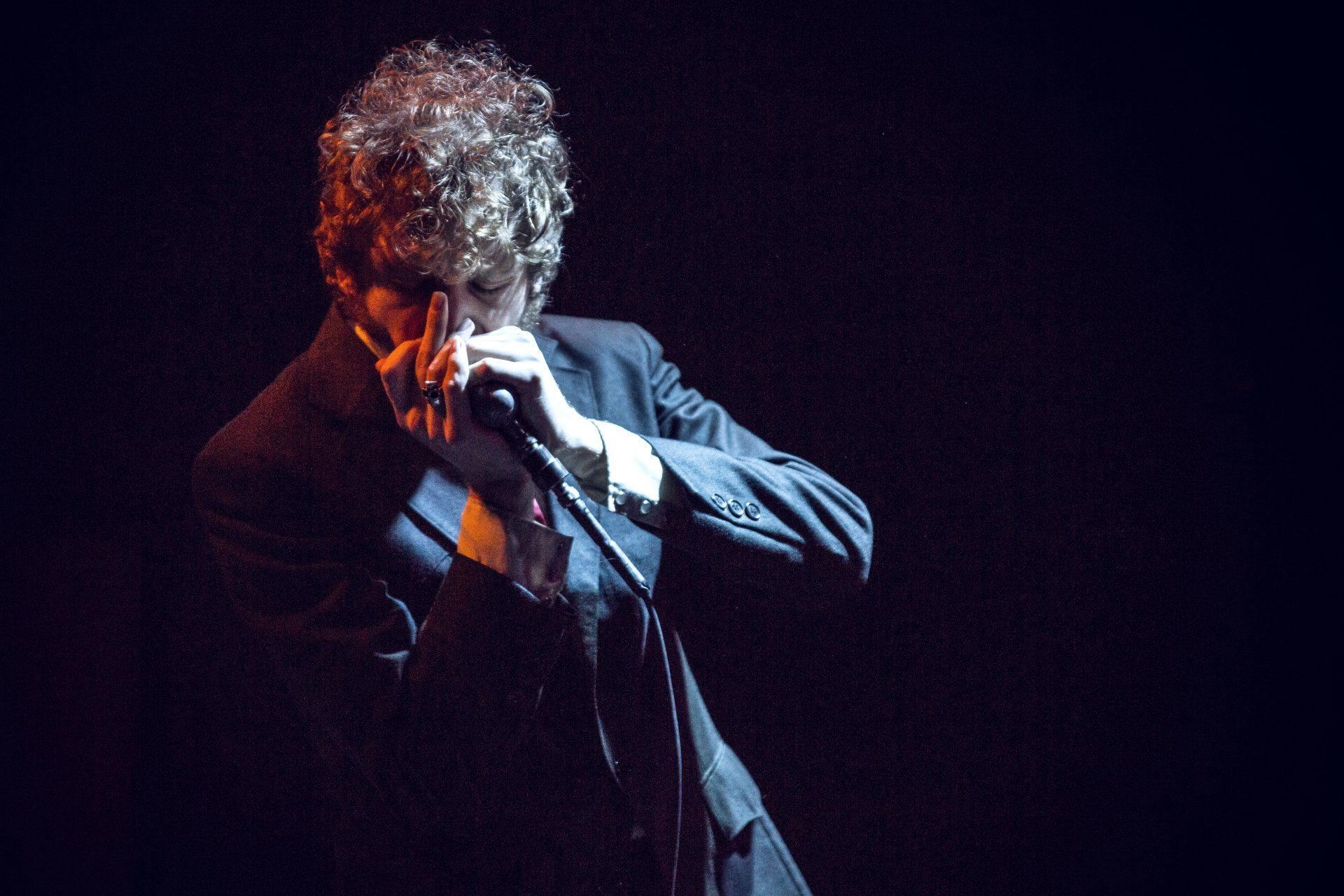 Dammo Photography - Daddy Long Legs