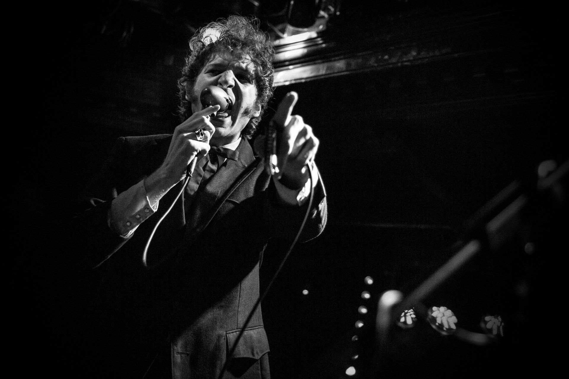 Dammo Photography - Daddy Long Legs