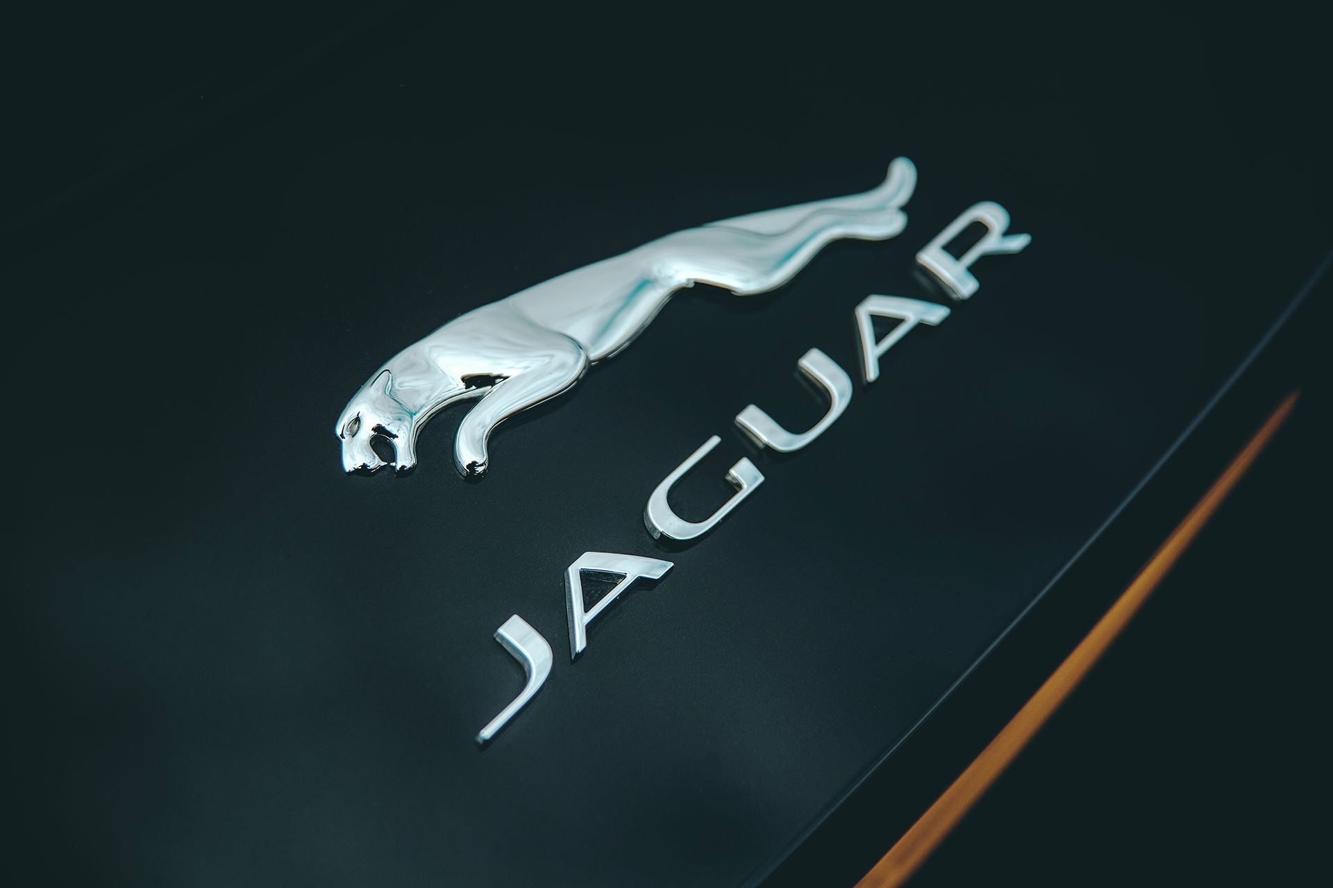 A close up of a jaguar logo on a black car shot by Dammo Photography