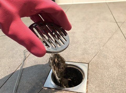 We found a $2 fix for clogged drains