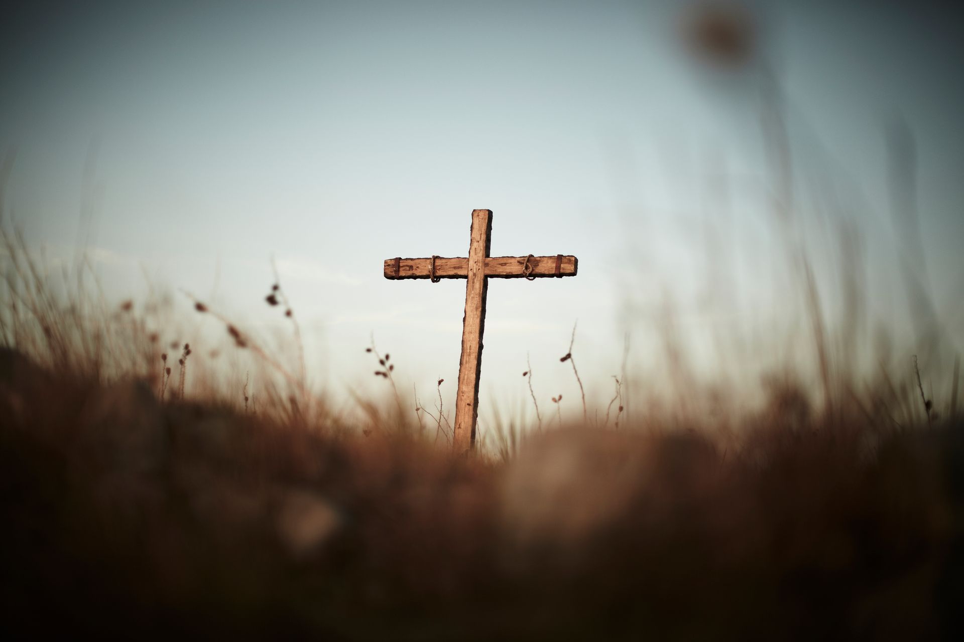 Wooden cross in a grassy field under a soft, blurred sky