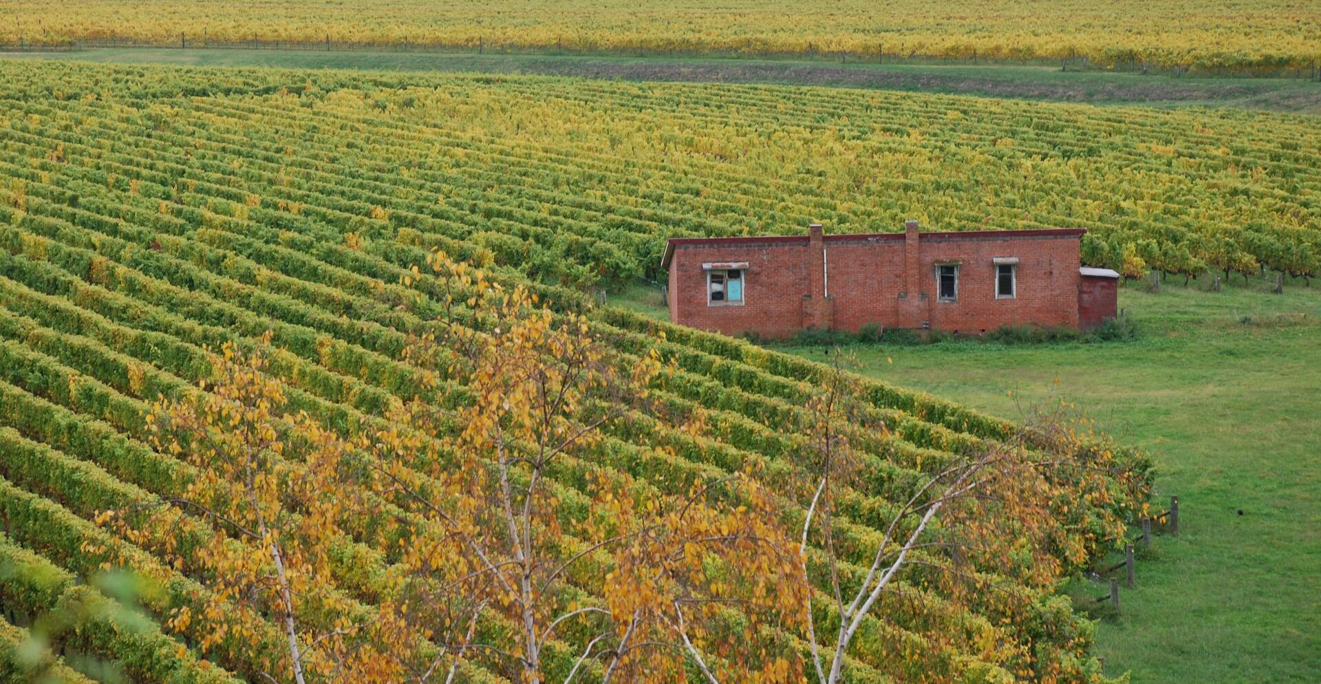 Accounting Rental Questionnaire