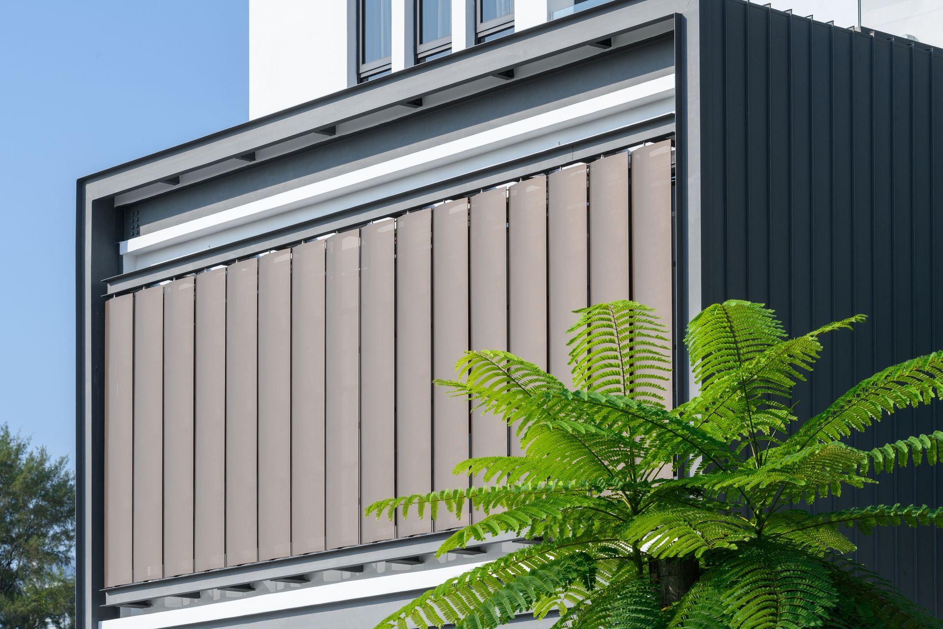 Modern building with vertical tan sun shades and a fern in front.
