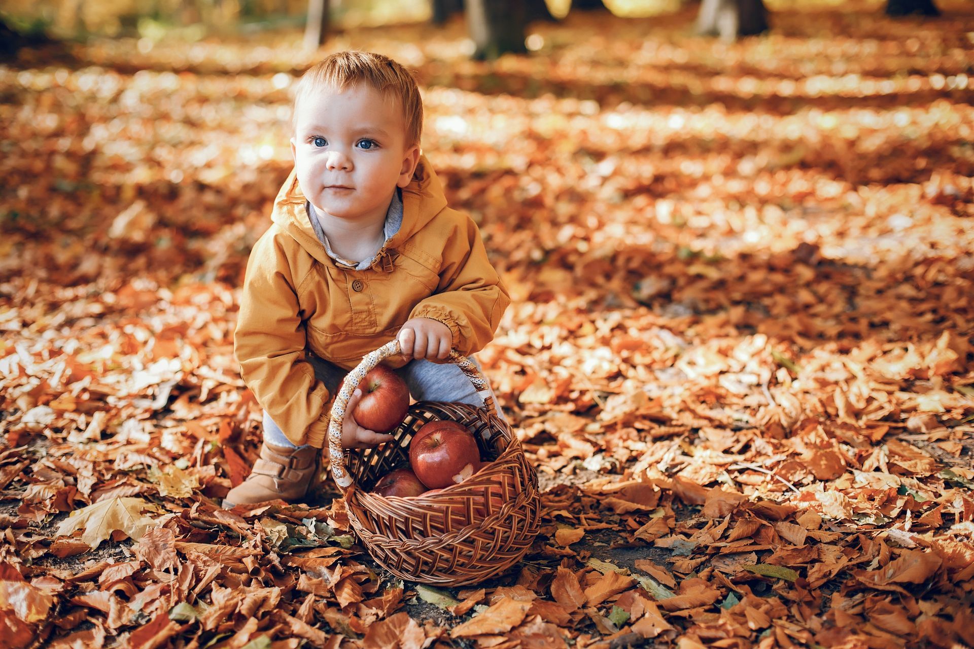 A toddler in a yellow jacket holds a basket of apples, surrounded by autumn leaves.