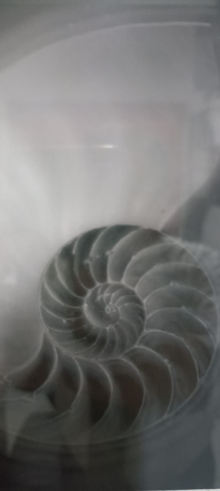 DR CESAR NIEBLA BELTRÁN - Vértigo