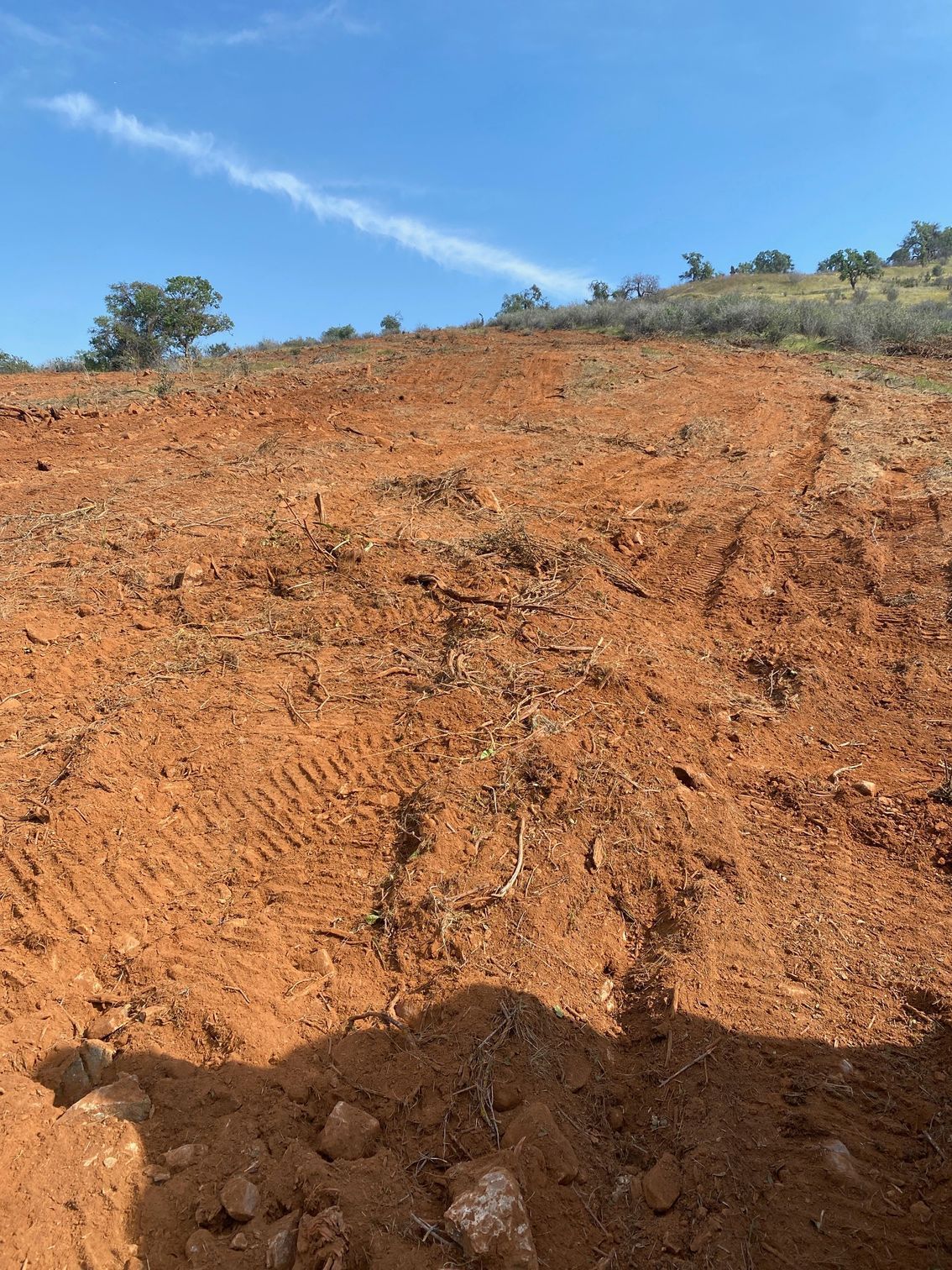 Orange-brown dirt hillside under a blue sky with sparse trees at the top