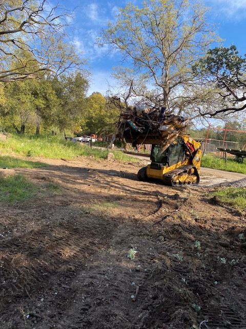 Yellow excavator clearing a dirt path in a wooded area under leafless trees