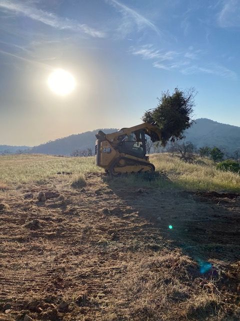 Bulldozer on a sunlit dirt field with hills and a lone tree in the background