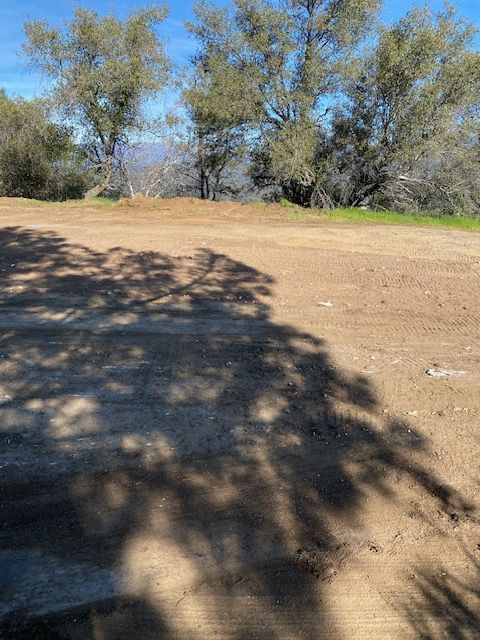 Dry dirt clearing with tree shadows, sparse bushes, and a line of trees under a clear blue sky.