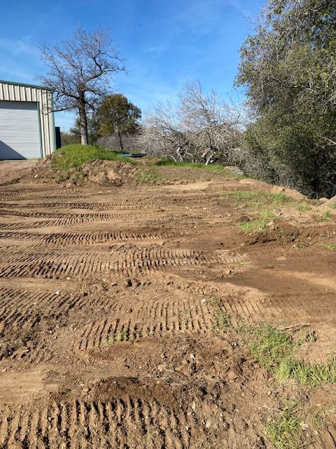 Graded dirt driveway beside a metal shed, with trees and brush under a clear blue sky