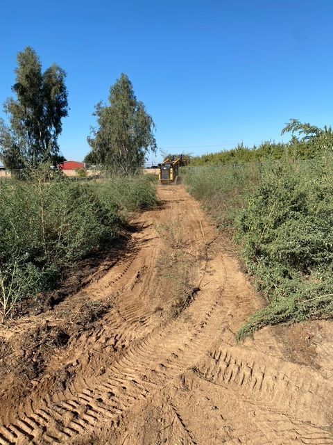 Dirt road through dense green shrubs under a clear blue sky, with tire tracks in the foreground