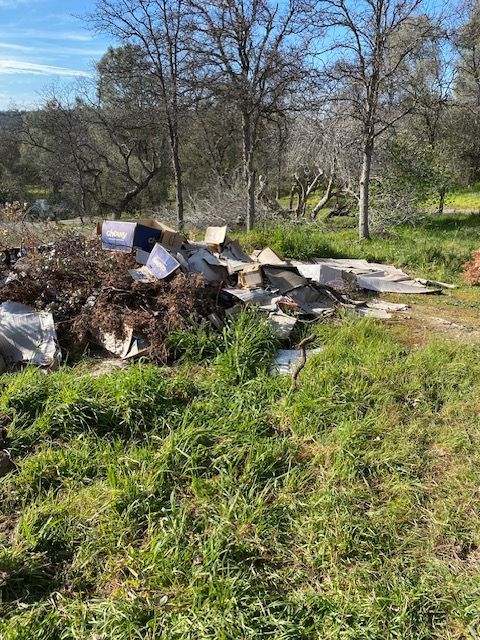 Pile of trash and cardboard dumped on grassy ground near leafless trees on a sunny day